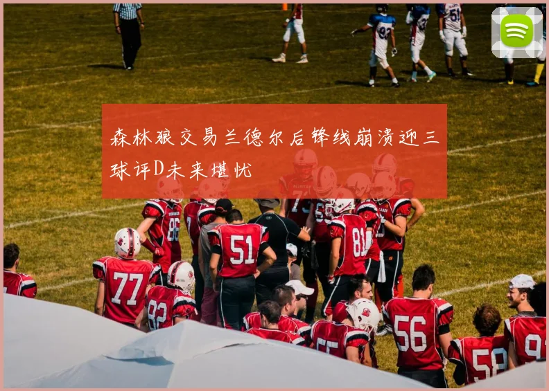 森林狼交易兰德尔后锋线崩溃迎三球评D未来堪忧